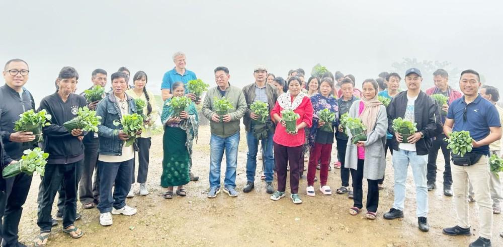Helipong village receives 60,000 vegetable saplings under FBMP project