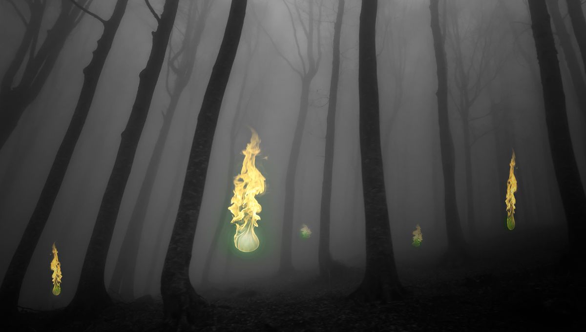 Can Science Finally Explain The Mystery Of Will-O’