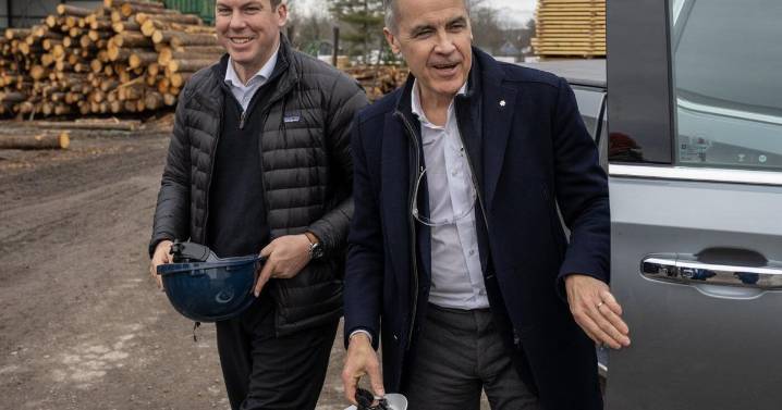 Liberal MP Kody Blois says to expect more ministers visiting China, after canola trip