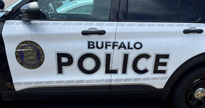 Buffalo Police announce two arrests for assault near Gallagher Beach