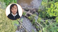 Determinan la causa de muerte de la niña que fue hallada muerta en Colombia tras 18 días desaparecida
