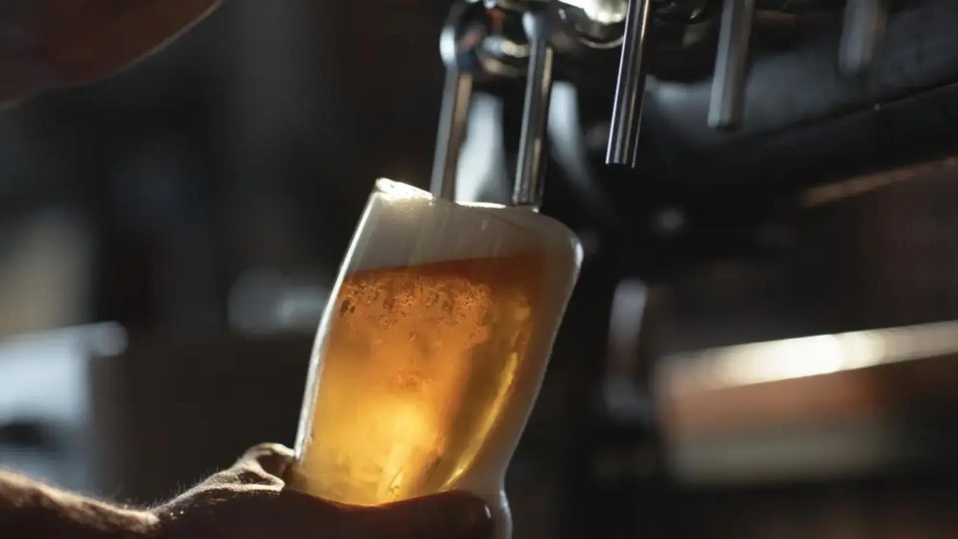 ¿Cerveza clásica o especial? La diferencia está en el extracto seco primitivo según un experto