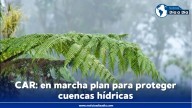 CAR: $120 millones financiarán estrategias para proteger microcuencas