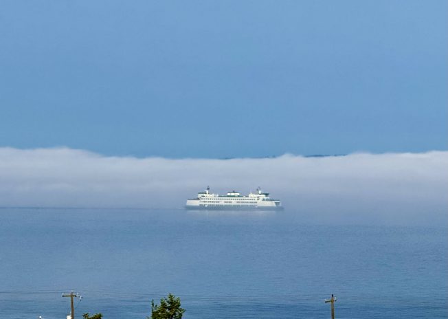 West Seattle Blog… | You asked, so we asked: Ferry-dock foghorn