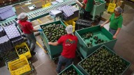 Interés de inversión canadiense en México da certeza al empleo