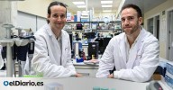 Un algoritmo epigenético rastrea el origen del cáncer y predice su progresión