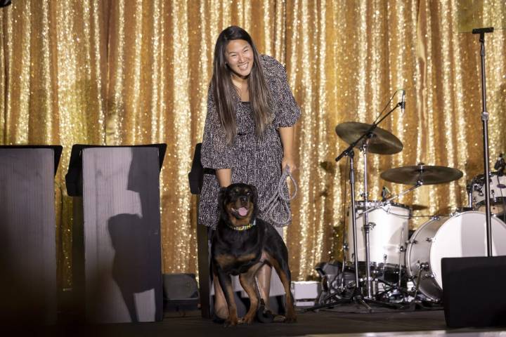 SPCA of Texas Announces $31 Million Capital Campaign at Hollywood