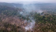 Bruselas propone otro nuevo retraso de un año en la aplicación de la ley contra la deforestación