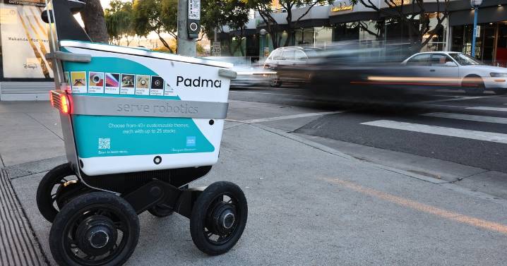West Hollywood man with cerebral palsy voices concerns after collision with delivery robot