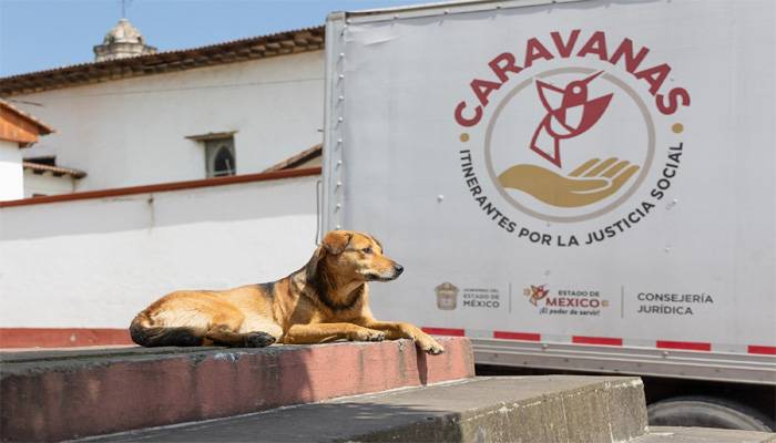 Promueven Caravanas Itinerantes por el cuidado y bienestar animal en Edoméx