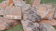 Rotten Meat in Kashmir’s Waters: Can We Save Our Lifelines?