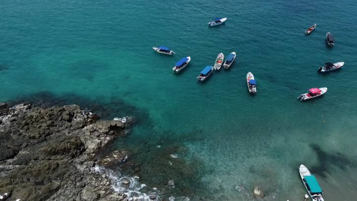 Así se vivió el Festival de la Migración 2025: Nuquí, un poema a la vida