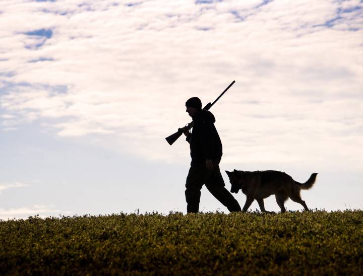 Ontario calls on hunters to help monitor Chronic Wasting Disease