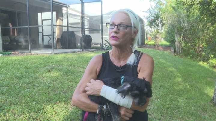 Land O’ Lakes woman saves puppy by punching alligator in backyard