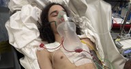 'My heart stopped when a thug stabbed my son, 15, with a massive zombie knife'