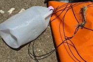 DLNR: Hawaiian monk seal Moana killed by ‘jug rig’ fishing gear