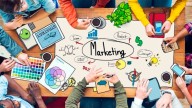 Agilidad en la disrupción: marcas que desobedecen su manual