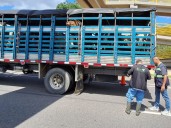 Control sanitario y legal en Casanare: una medida para frenar el contrabando de animales