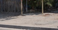 Mexican Colony celebrates groundbreaking ceremony for new sidewalk project bringing safety improvements