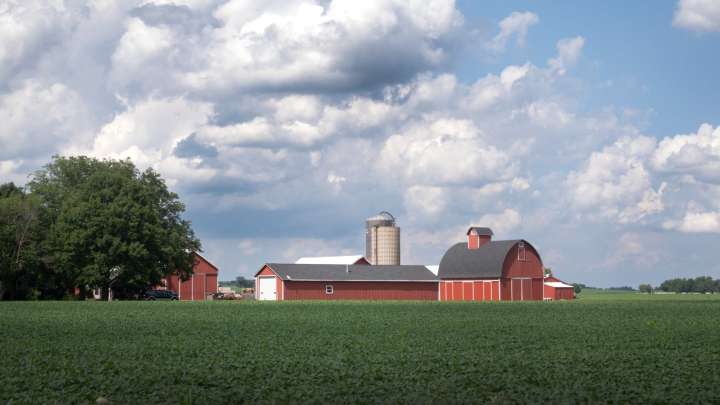 Why do farmers hate Trump’s Argentina bailout?