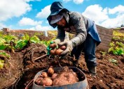 Estrategia para combatir gota a gota en Antioquia ha beneficiado a más de 15.000 emprendedores y productores