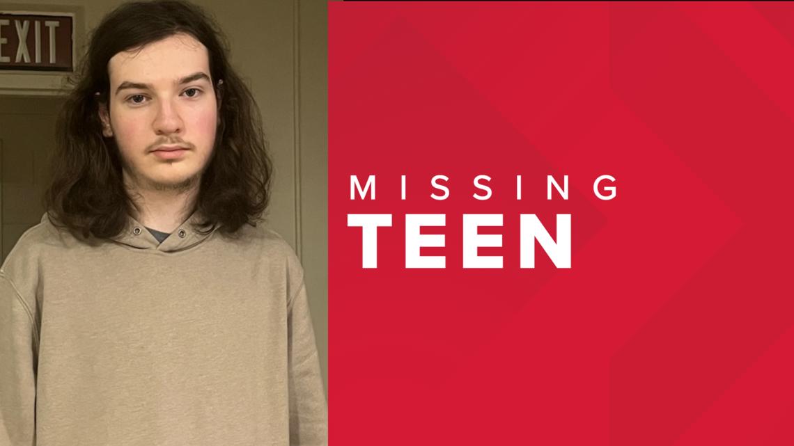 Hamburg Police looking for missing teen