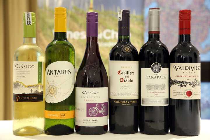 Día del Vino Chileno: Efeméride para reinventar la Hotelería, la Gastronomía y el Turismo