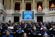 Semana clave: Diputados decide el futuro de los vetos de Milei