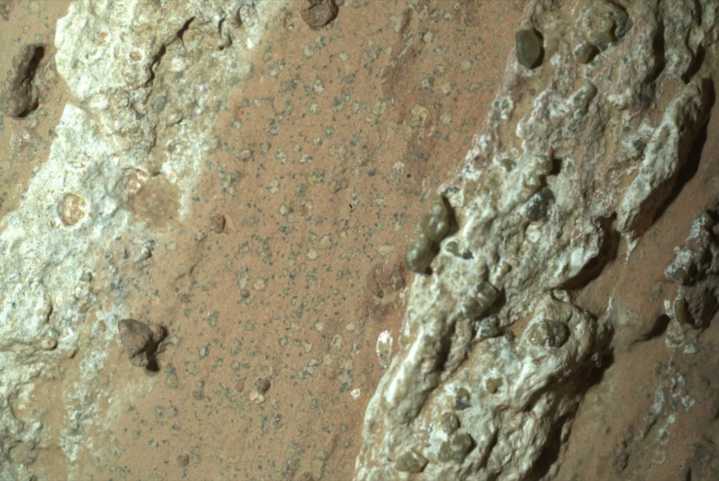Giro. Qué son las “biofirmas”, el hallazgo científico que probaría la existencia de vida en Marte