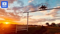 Viv Oldfield expands outback cattle empire buying Murranji Station for $44m