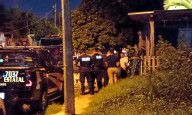 ABEJAS ASESINAS DEJAN UN MUERTO Y VARIOS HERIDOS