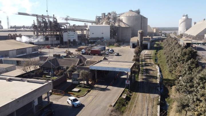 Vicentin: comienza período clave para el futuro de la agroexportadora