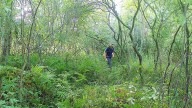 Police investigating 'suspicious situation' in Dansville State Game Area
