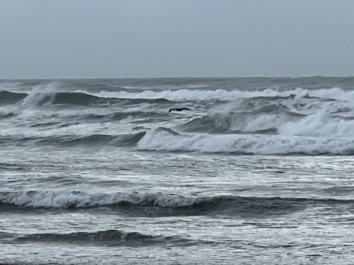 Crews search for missing swimmer at South Padre Island