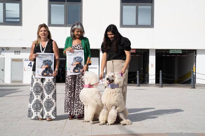 Más de 70 razas se citan el domingo en el II Concurso Nacional Canino de Benalmádena