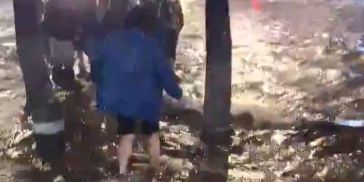 Fuertes lluvias en CDMX dejan severas inundaciones en Indios Verdes