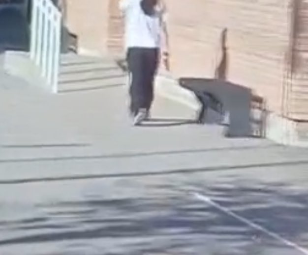Video: Una alumna de 12 años entró armada a un colegio en La Paz, disparó tres veces al aire y se atrincheró