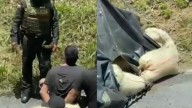 Dos presuntos delincuentes capturados tras accidentarse cuando hurtaban un camión cargado con café en la Panamericana