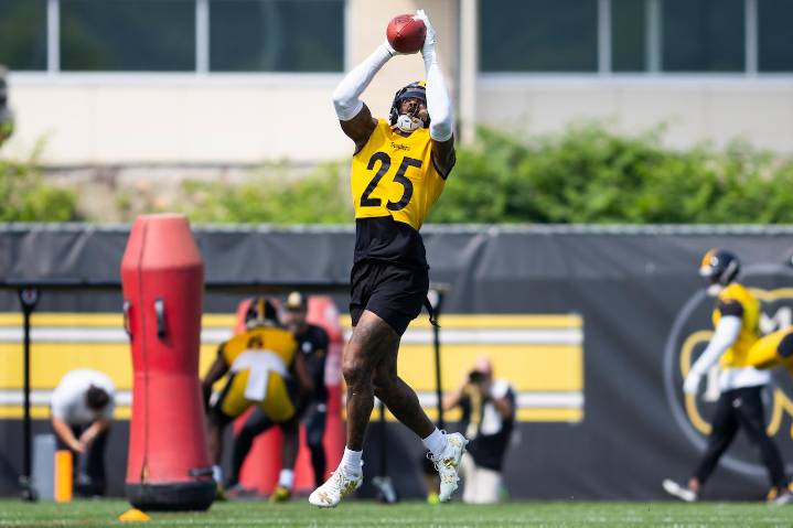 Pittsburgh Steelers get big injury update on two star defensive players