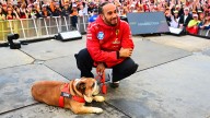 El desgarrador mensaje de Hamilton tras la muerte de Roscoe: "Tuve que tomar la decisión más difícil"