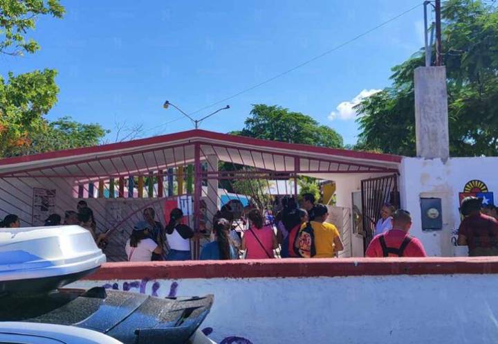 Abejas atacan a maestros e intendentes en jardín de niños en Cancún