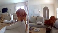 Virginia Golden Retriever Caught On Camera Turning The House Into Total Chaos