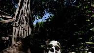 Ancient Skull May Rewrite The Timeline Of Human Evolution
