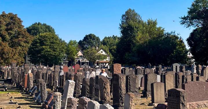 Lansing Avenue Jewish Cemetery focus of Federation’s fall cleanup
