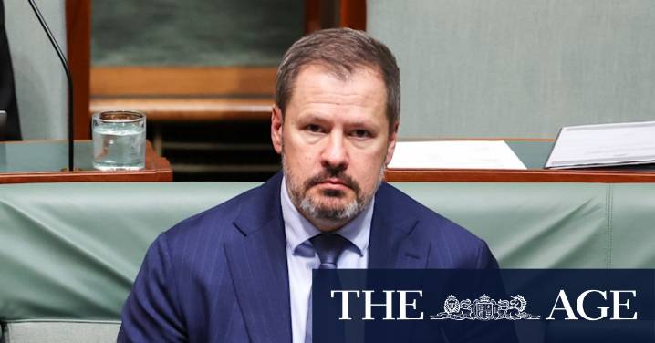 ‘Please don’t join’: Ed Husic calls for government to warn Australians against Israel military service