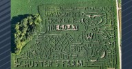 Schuster's Farm pays tribute to Badger women's hockey national title with corn maze