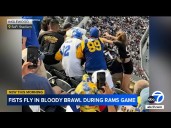 Brawl between fans turns bloody at Rams vs. Texans game