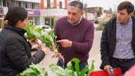 Una nueva edición de la feria “Mercadito Saludable” tendrá lugar el viernes 5