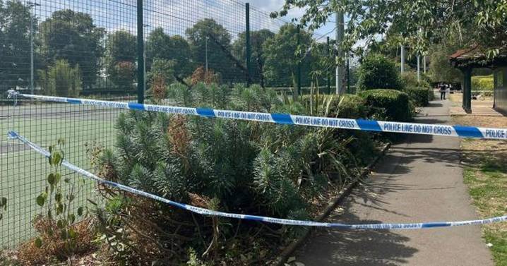 Boy, 15, raped teenage girl he had never met after following her into park