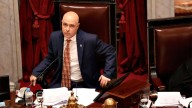 En una sesión compleja, el Senado reabre la disputa por la Ley de Emergencia en Discapacidad